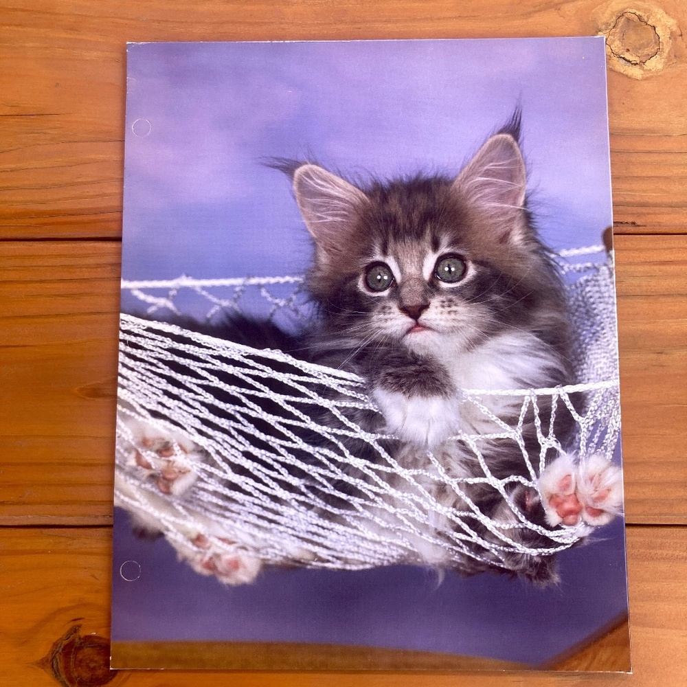 2003 Meade Kitty Cat Folder